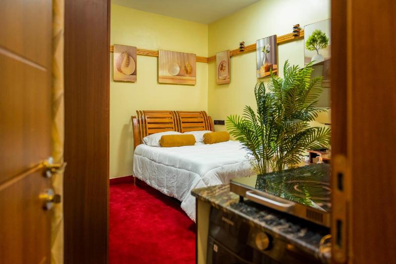 Soft touch studio apartment - image 16