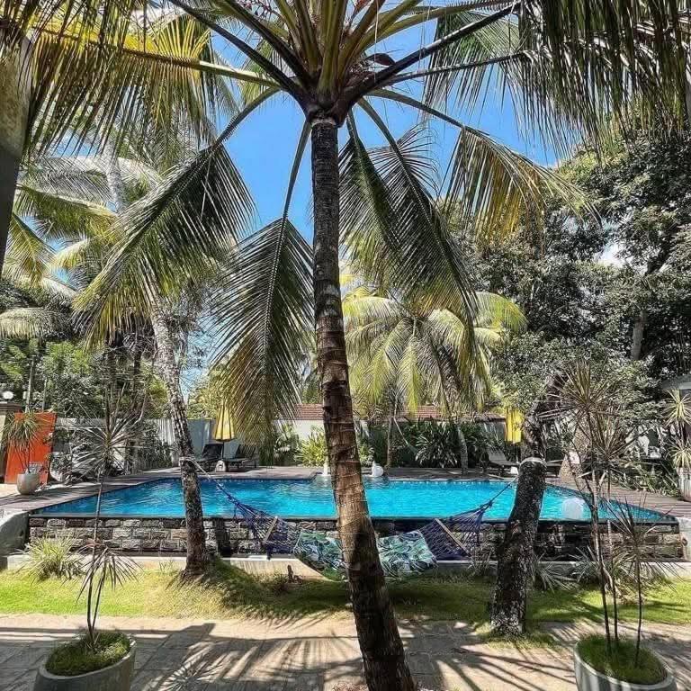 Galaxy villa - image 8