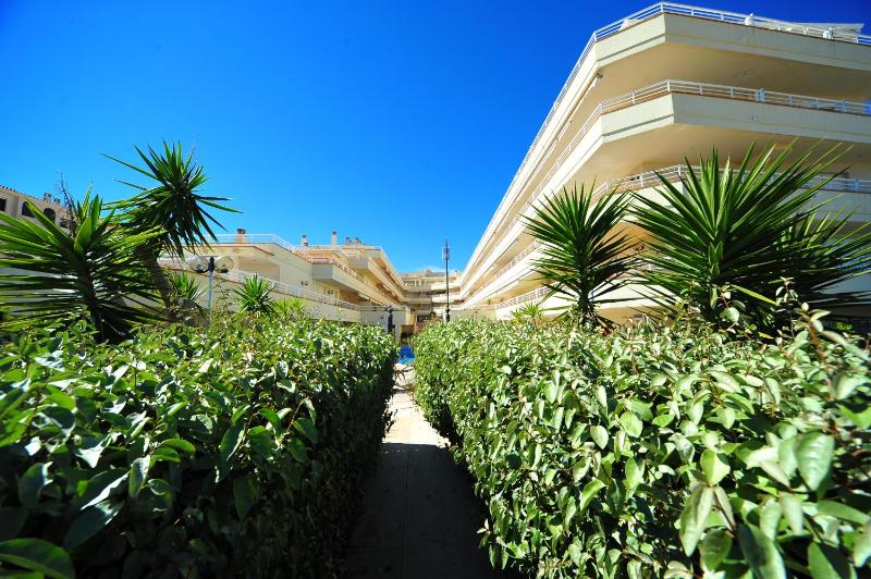 cala montero lateral - image 19