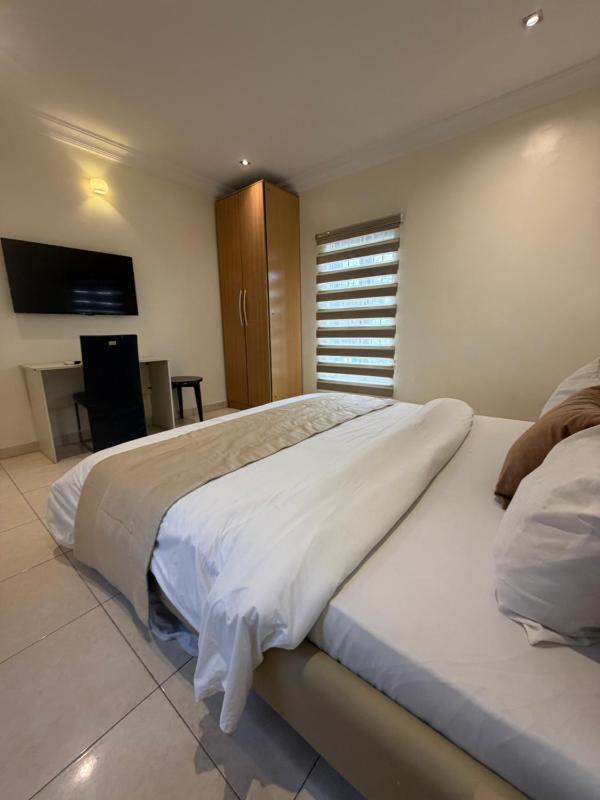 Max Solis 2 Bedroom Apartment Lekki Phase 1 - image 2