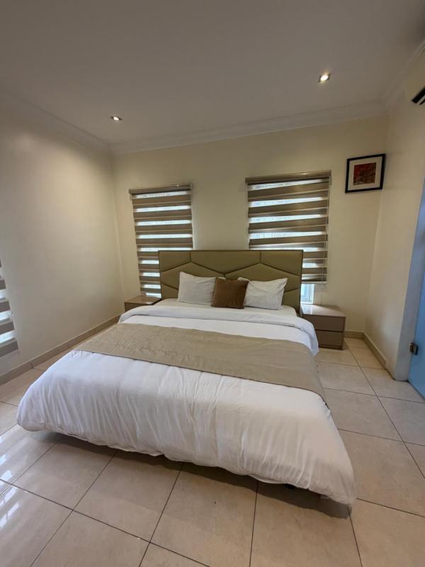 Max Solis 2 Bedroom Apartment Lekki Phase 1 - image 4