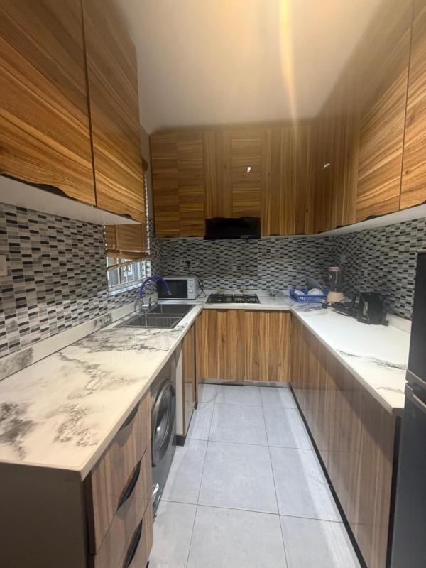 Max Solis 2 Bedroom Apartment Lekki Phase 1 - image 12
