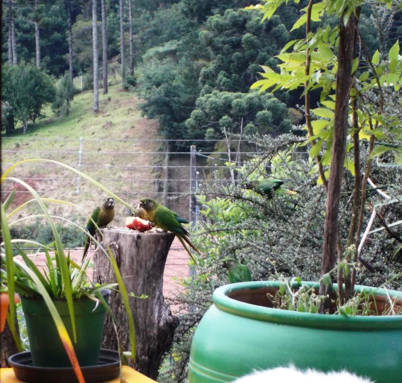 Hostel da Montanha - image 49