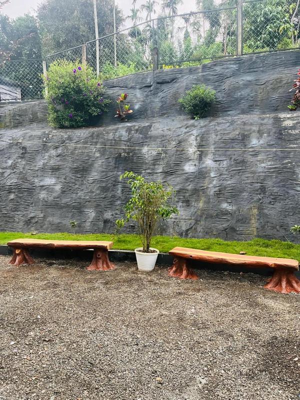 Aldan Wayanad Stay - image 6