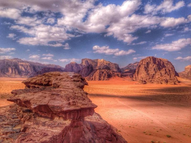 Wadi rum bubble camp - image 13