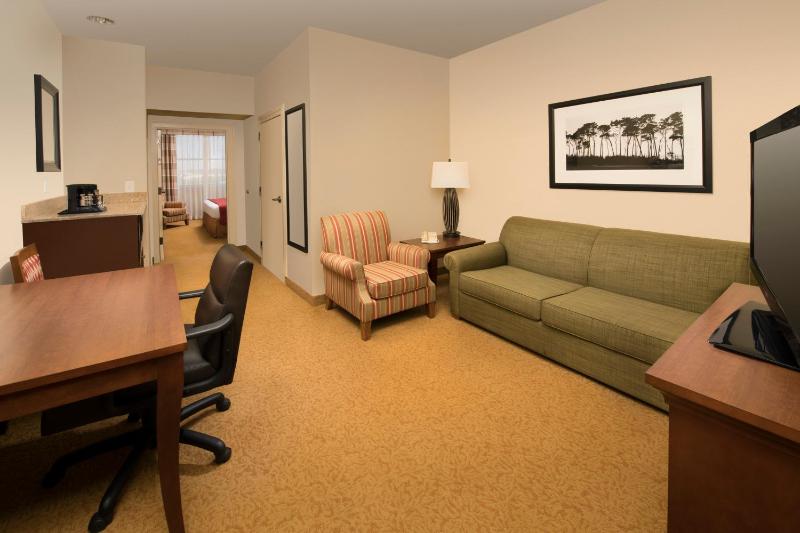 One-Bedroom King Suite with Sofa Bed - Non-Smoking image 3