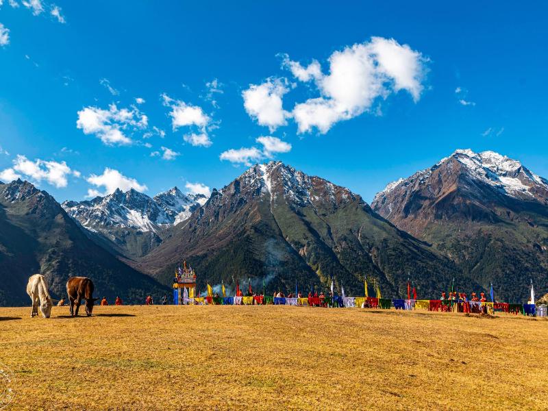 Drukyul Kora Tours & Treks - image 2