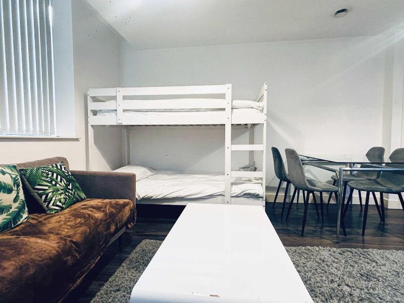 Pet-friendly 1BR Apt sleeps 4 in BMH Centre with Parking - image 12