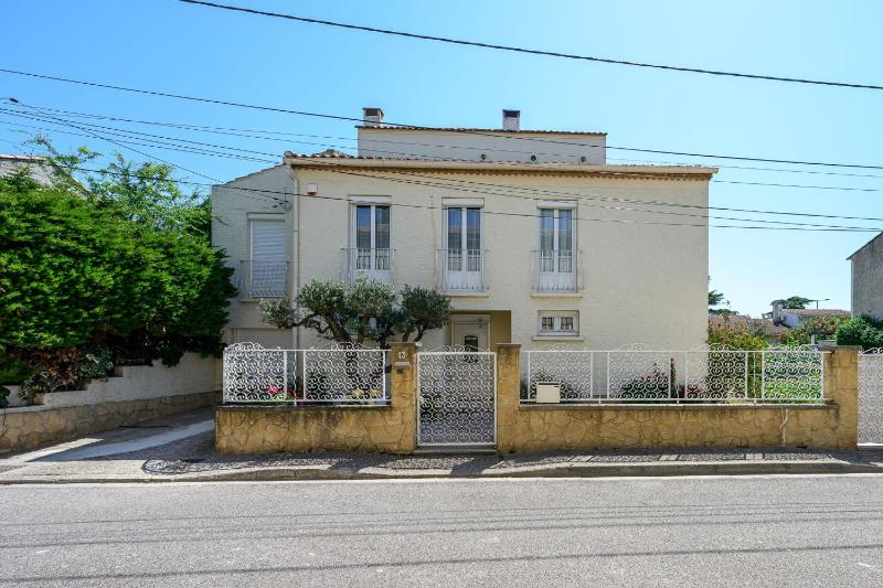 Le Massillargue - AC - Wifi - Terrasse - image 4