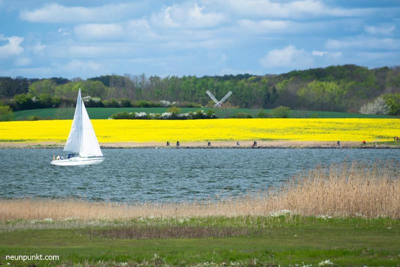 Fischlaeger - image 12