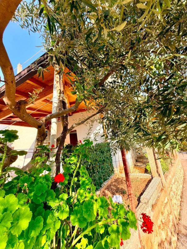 Vila Elian - image 2