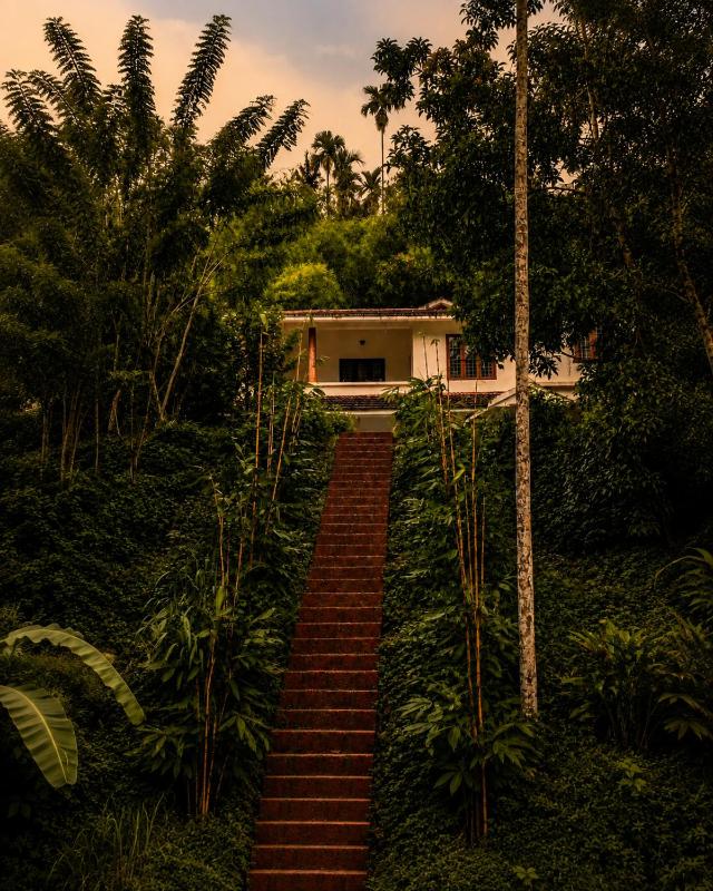 Lush Lagoon Homestay - image 9