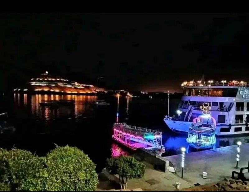 The Golden View Aswan city center - image 16