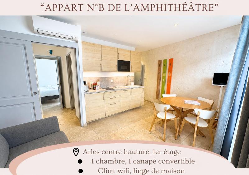 Holiday in Arles: Appartement de l'Amphithéâtre - image 22