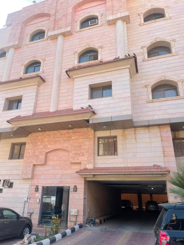 استديو بيرال - image 6