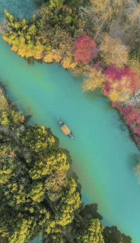 杭州西溪十里芳菲酒店Alor Valley Hangzhou - image 1
