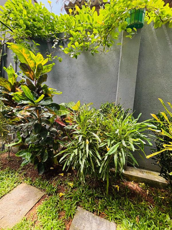 Sun land Villa - image 15