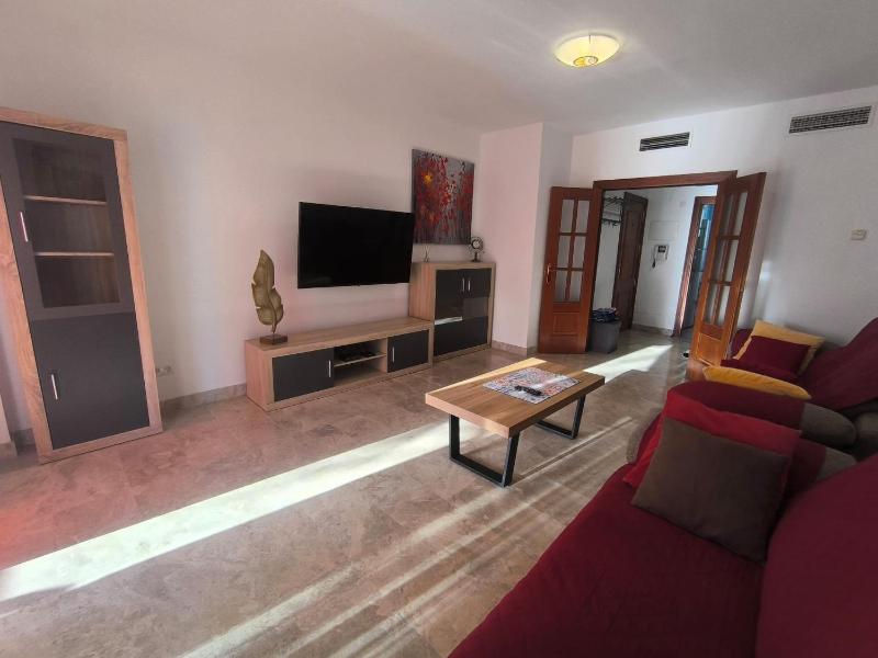 Apartment Playa Graciosa los Cristianos - image 15