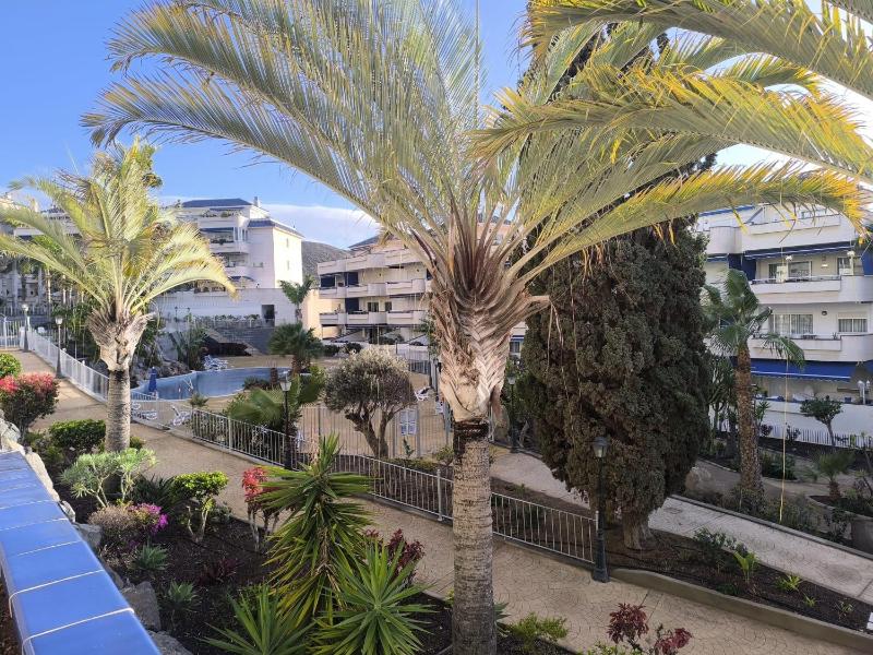 Apartment Playa Graciosa los Cristianos - image 48