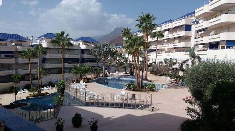 Apartment Playa Graciosa los Cristianos - image 18