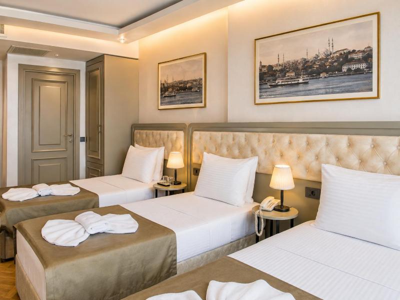Mayer Hotel Istanbul - image 3