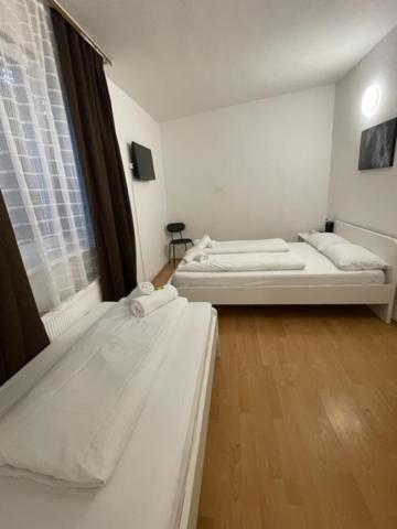 Hotel Starlight - image 15