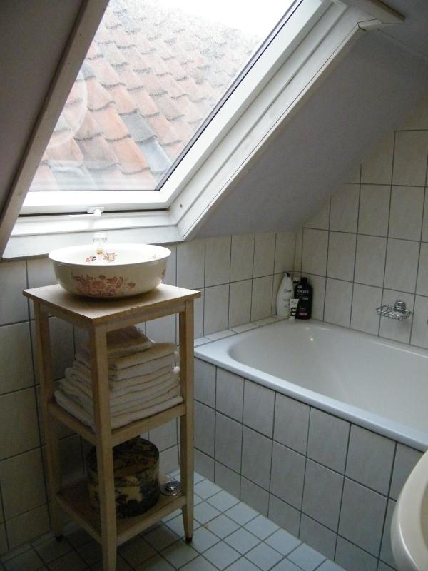 Apartment - Split Level image 4