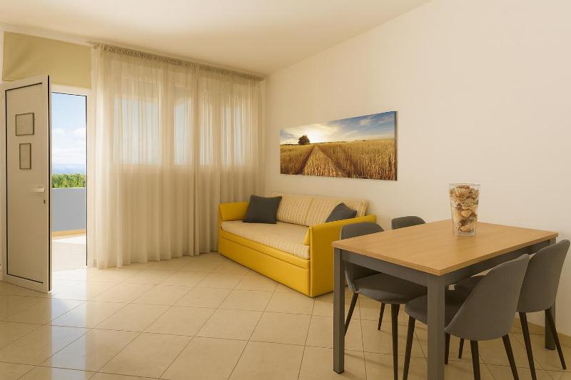 Residence Hotel Piccadilly - image 44