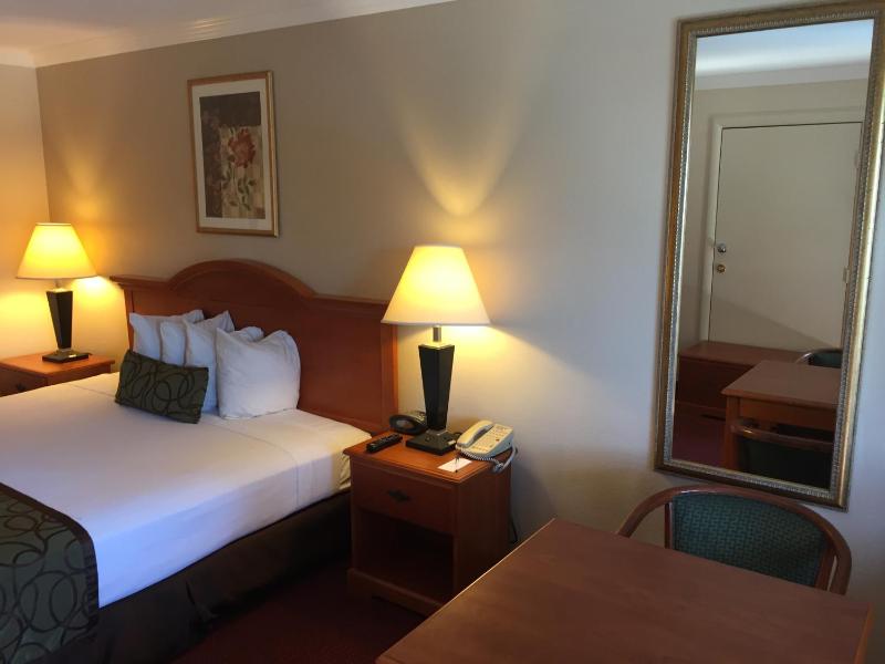 King Room - Non-Smoking image 2