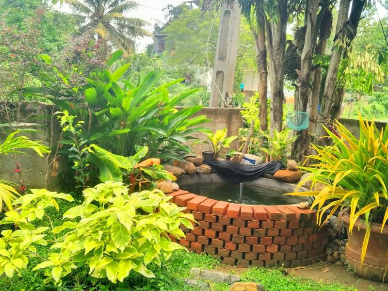 Song Bird Home stay-Tangalle - image 10