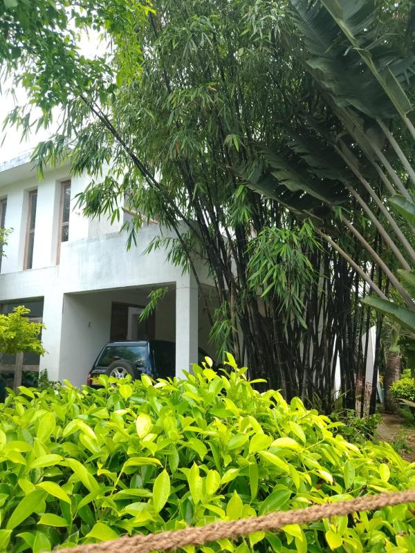 Song Bird Home stay-Tangalle - image 6