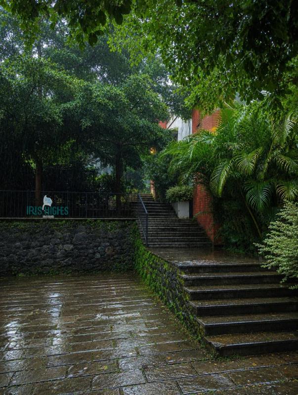 Iris Villa 1 - image 6