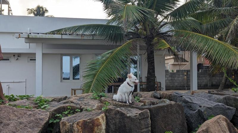 Beach House Pet-friendly beachfront 1bhk villa - image 34