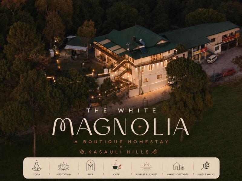 The White Magnolia Villa Kasauli - image 32