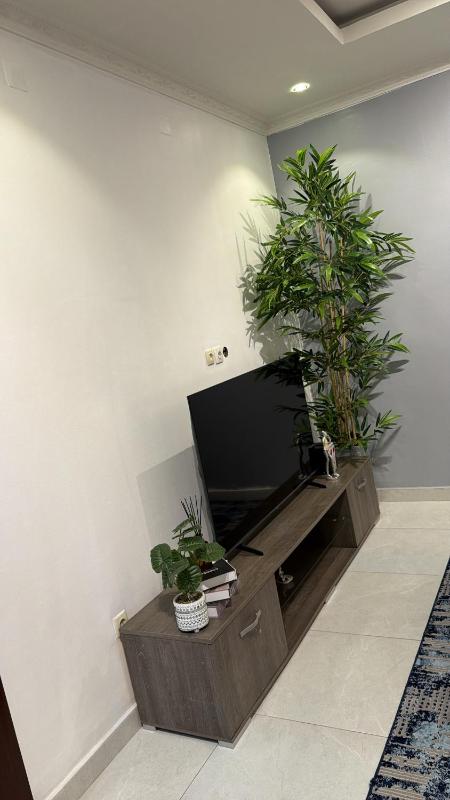 Empire M - image 11