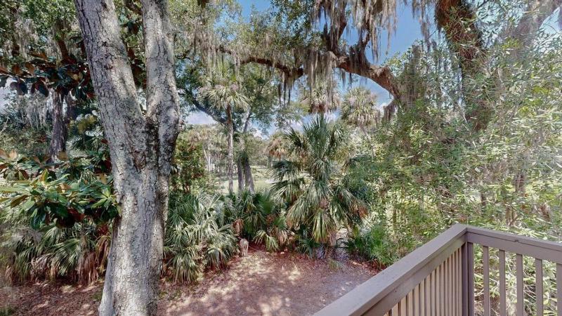 30 Water Oak - image 22