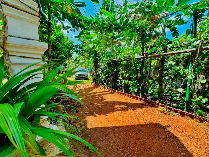 Sigiri Nethu Home Stay - image 8