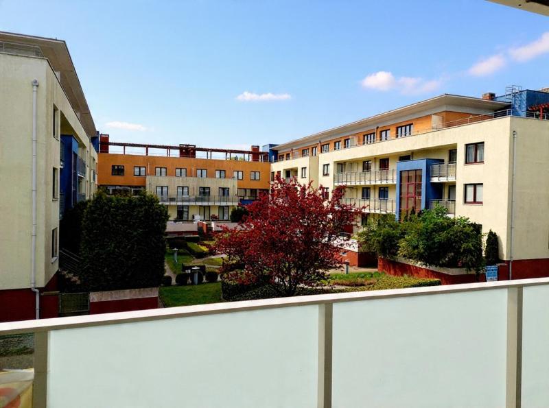 Horyzont Apartamenty -apartamenty w części uzdrowiskowej KasprowiczaFredry- blisko morza!!! - image 39