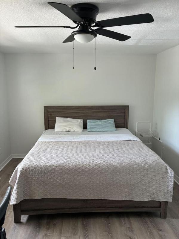 South Tampa Townhome- Close to Everything - image 12