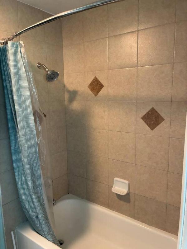 South Tampa Townhome- Close to Everything - image 11