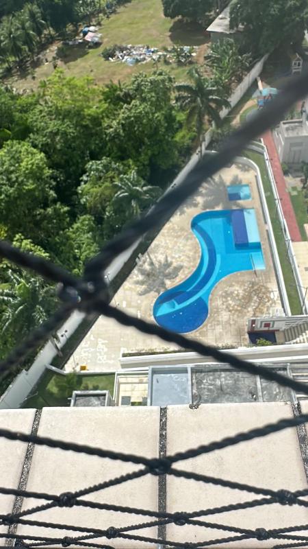 family - image 4