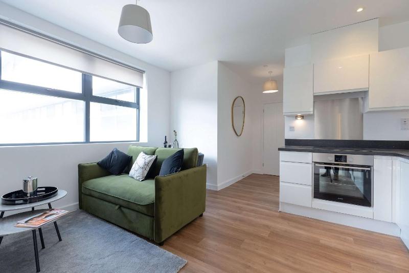 Spacious one-bedroom apartment in the City Centre - image 2