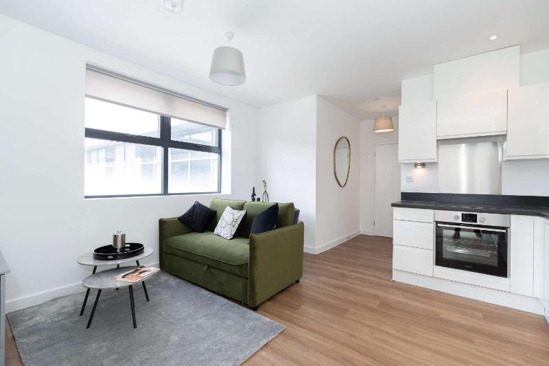 Spacious one-bedroom apartment in the City Centre - image 8