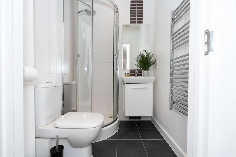 Spacious one-bedroom apartment in the City Centre - image 6