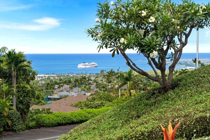 Hale Pualani - image 49