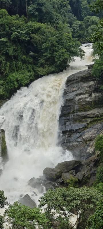 JUNGLE ViLLA NEAR MUNNAR - image 20