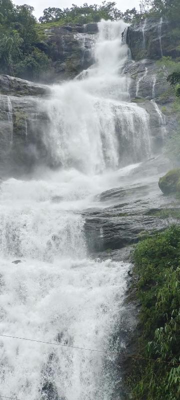 JUNGLE ViLLA NEAR MUNNAR - image 24