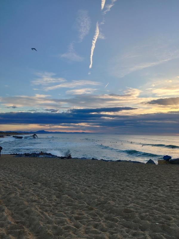 The Ocean Escape - image 8