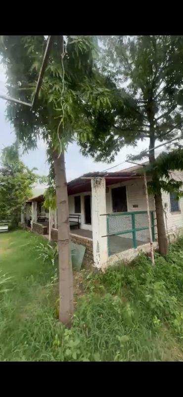 diwanii retreats - image 6