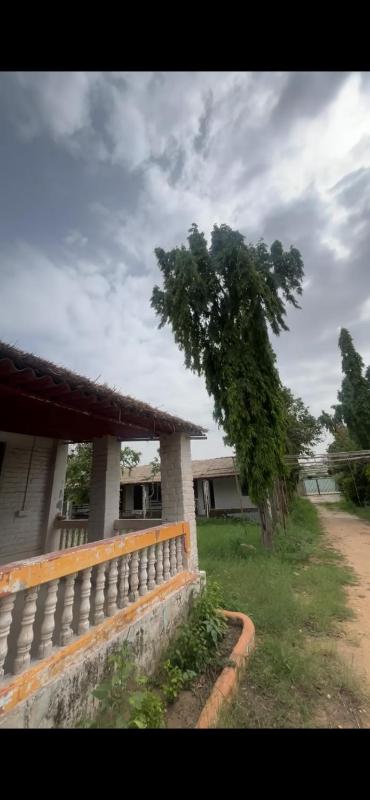 diwanii retreats - image 2
